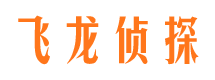 桃源侦探